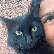 Bagheera a rejoint le concours — aidez-le/la à gagner de superbes lots ! black_cat, green_eyes, close_up, person, face, selfie, cuddle, pet, feline, fur, whiskers, outdoor, texture, wall, portrait, cute, animal, companion, looking, friendship