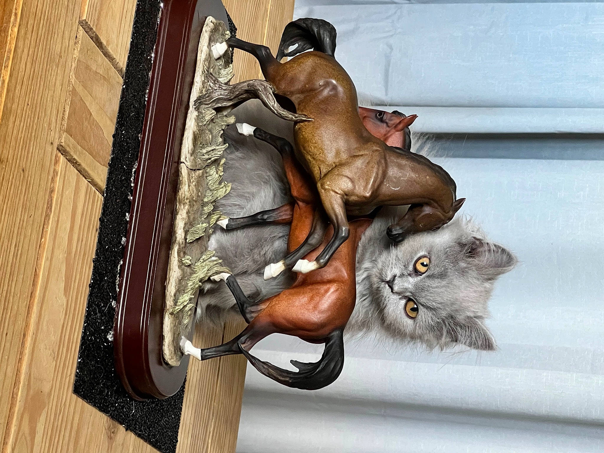 Gray is registered to the contest to win money with this photo: art, bronze_sculpture, carnivore, cat, domestic_short_haired_cat, door_handle, felidae, fur, human_leg, leg, metal, monument, sculpture, sitting, small_to_medium_sized_cats, statue, tail, whiskers, window, wood