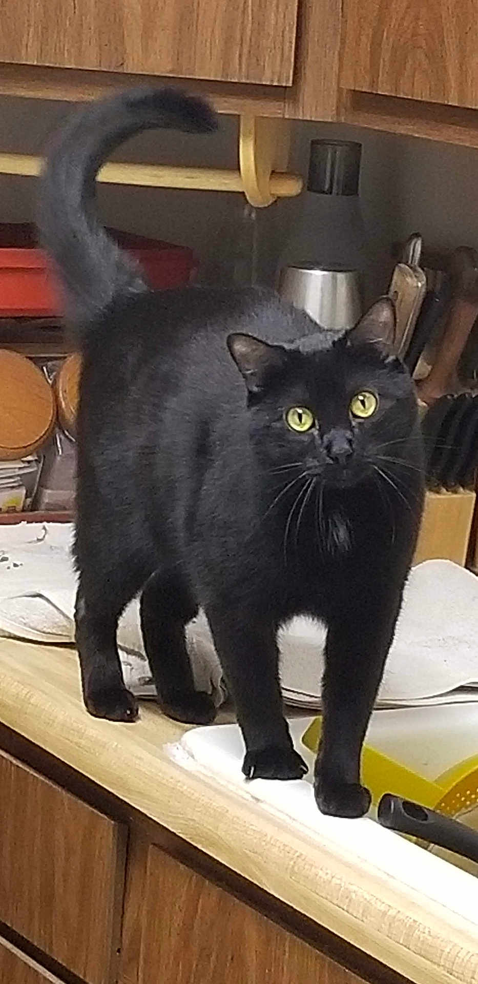 Boo