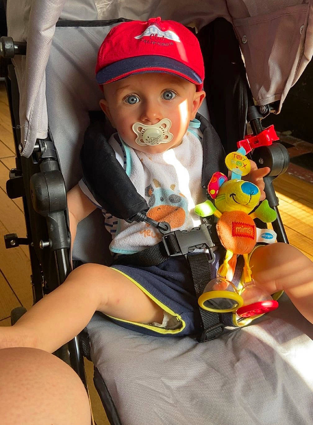 Naël a rejoint le concours — aidez-le/la à gagner de superbes lots ! auto_part, baby_carriage, baby_products, baseball_cap, cap, car_seat, carmine, child, doll, fun, hat, headwear, human_body, human_leg, lap, person, plastic, sitting, stuffed_toy, thigh