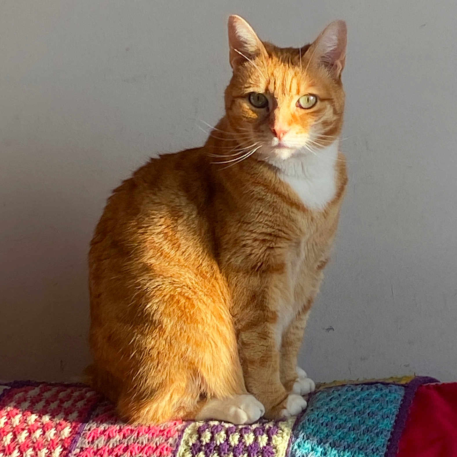 Caramel