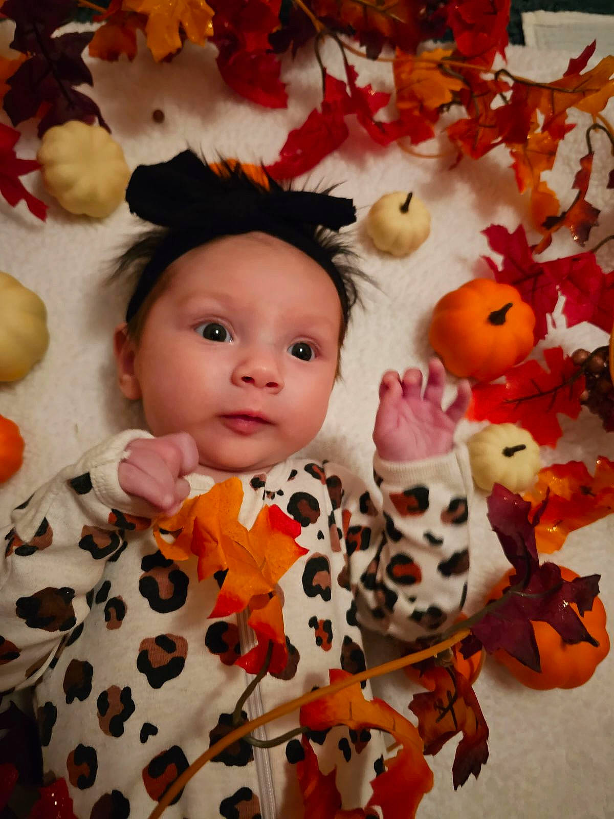 Aspen is registered to the contest to win money with this photo: baby, baby_toddler_clothing, baby_toys, calabaza, cheek, child, creative_arts, doll, fur, happy, head, headwear, orange, pattern, peach, person, pumpkin, room, stuffed_toy, textile