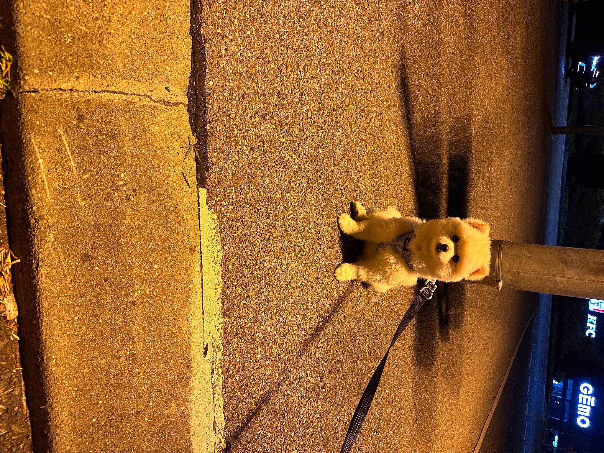 Nakya participe au concours pour gagner de l'argent avec cette photo : amber, brick, brown, cross, door, door_handle, felidae, hardwood, home_door, latch, lock, metal, padlock, rectangle, religious_item, room, shadow, still_life_photography, tints_and_shades, wood