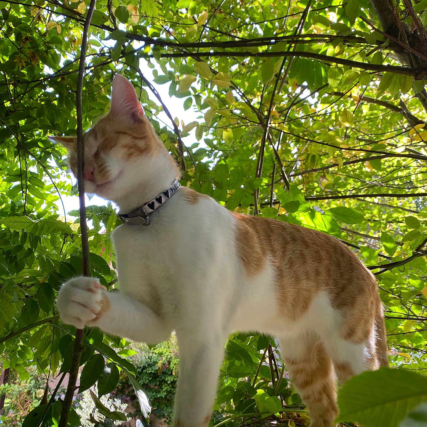 Rio