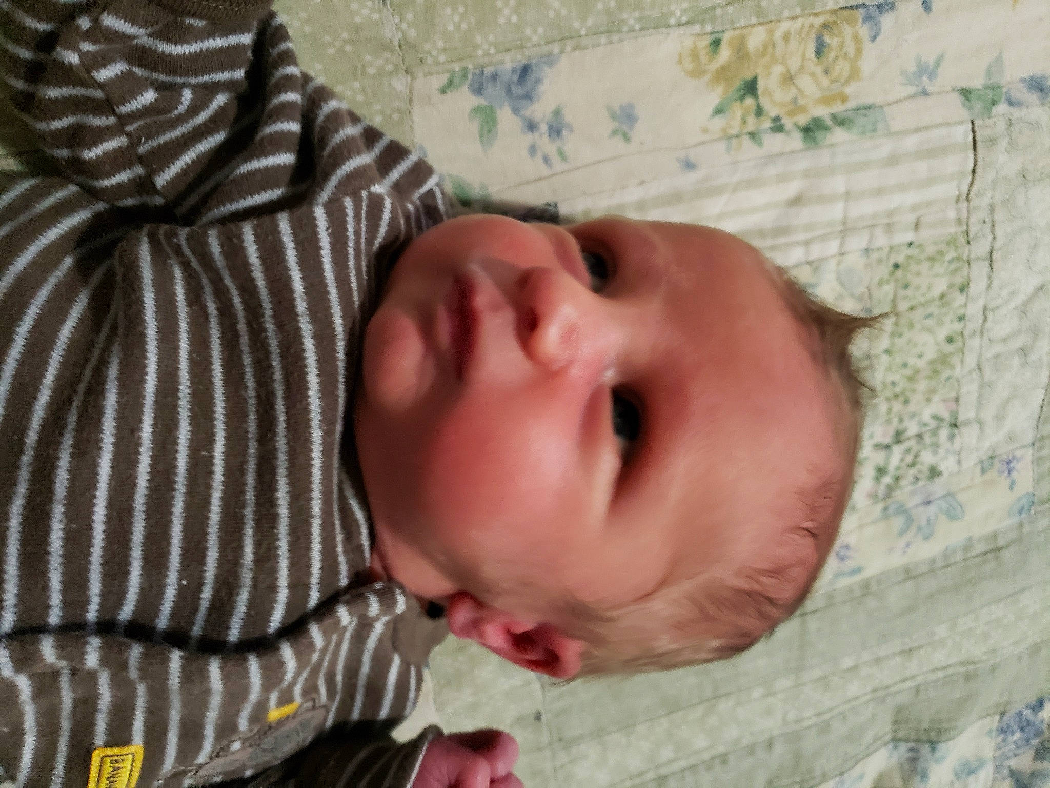 Colby joined the competition — help win amazing prizes! baby, baby_toddler_clothing, cheek, child, chin, comfort, eye, eyelash, face, grass, happy, head, iris, lip, nose, pattern, person, skin, toddler, tree