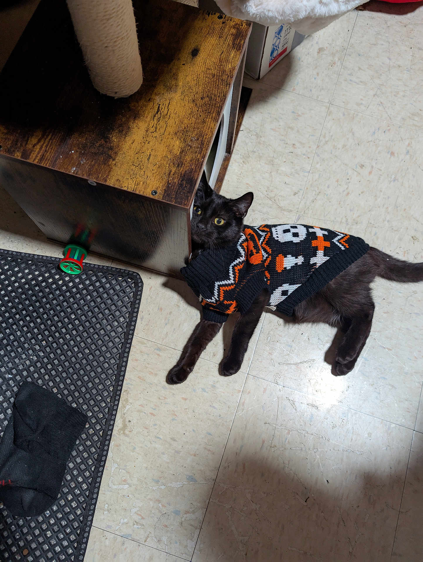 Binx