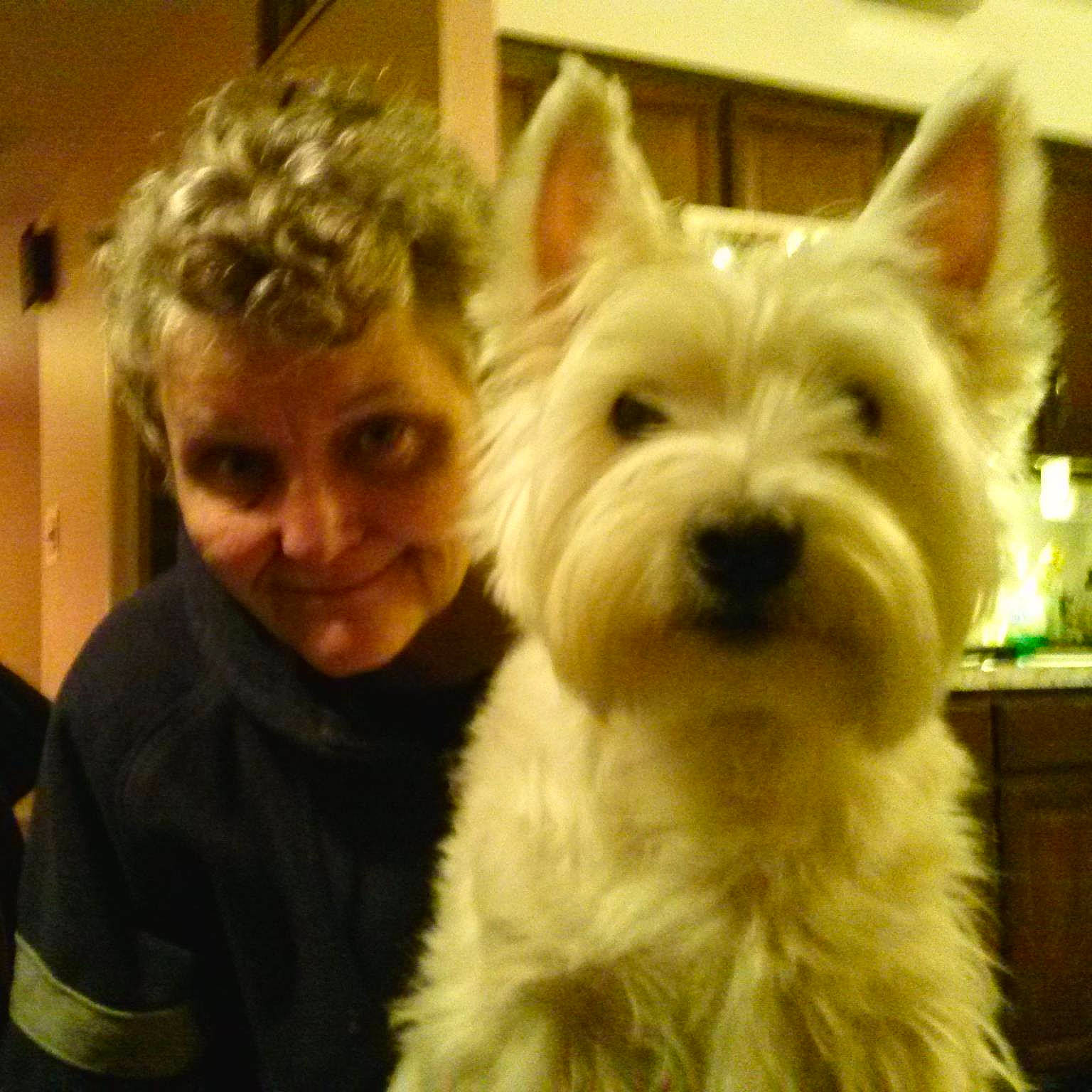 Milo joined the competition — help win amazing prizes! canidae, carnivore, companion_dog, dog, dog_breed, ear, fur, giant_dog_breed, happy, hoodie, non_sporting_group, selfie, small_terrier, smile, snout, sporting_group, terrestrial_animal, terrier, toy_dog, working_animal