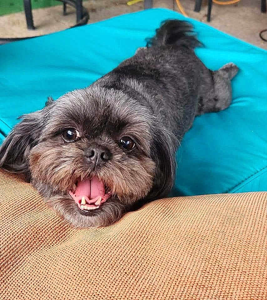Coco