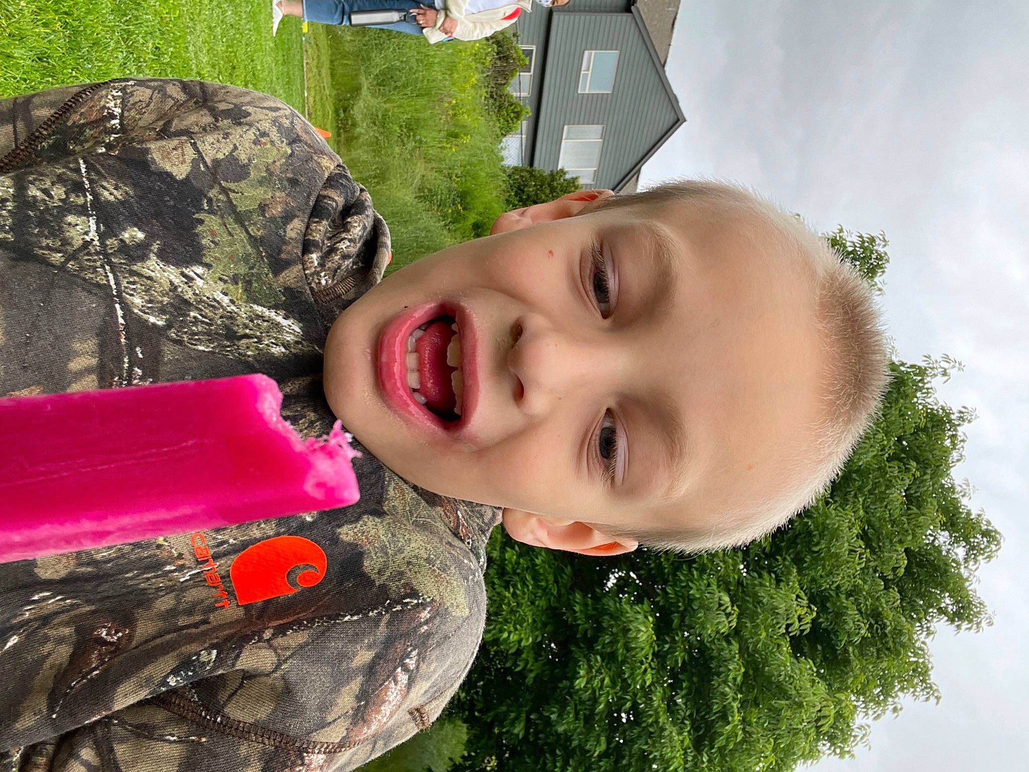 Tyson is registered to the contest to win money with this photo: beauty, child, cool, fun, grass, happy, house, landscape, leisure, mouth, organ, people_in_nature, person, photograph, plant, sky, smile, toddler, tree, vacation