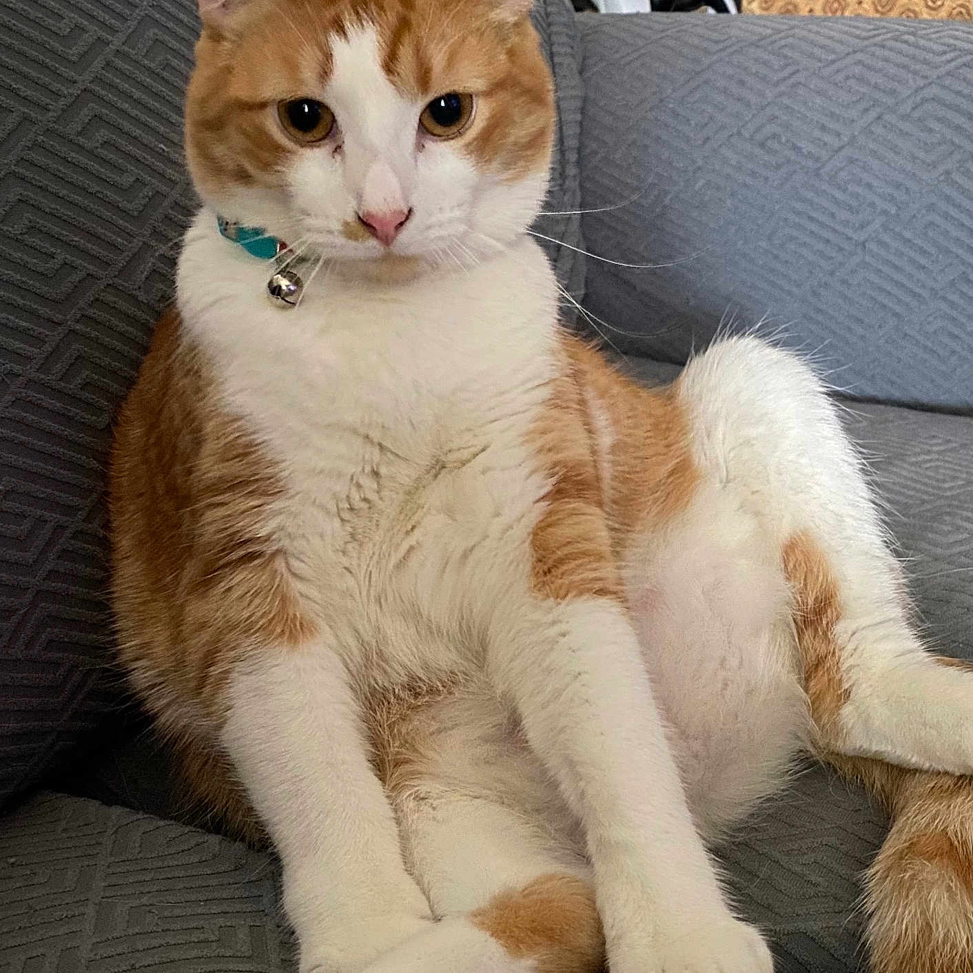 Fred