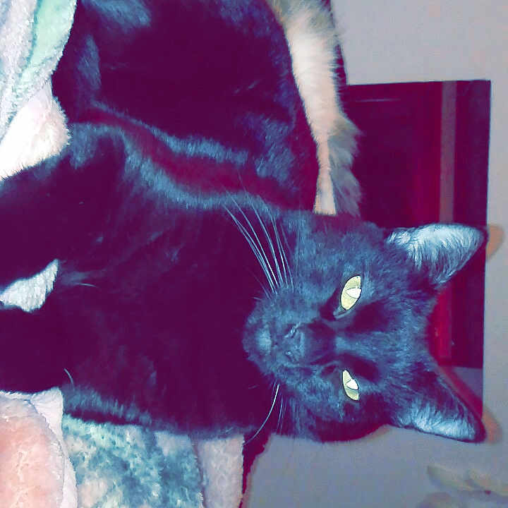 Bobby