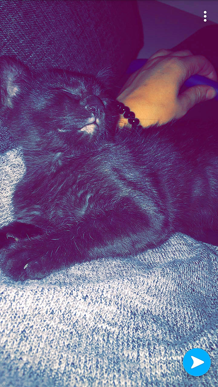 Bobby participe au concours pour gagner de l'argent avec cette photo : blue, close_up, computer_wallpaper, geological_phenomenon, light, magenta, organism, purple, red, sky, tail, underwater, violet