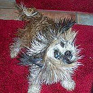 Rudy is registered to the contest to win money with this photo: