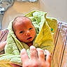 newborn, baby, towel, hand, wrapped, infant, skin, person, bed, blanket, soft, cozy, cute, fresh, indoors, portrait, young, human, comfort, nursery