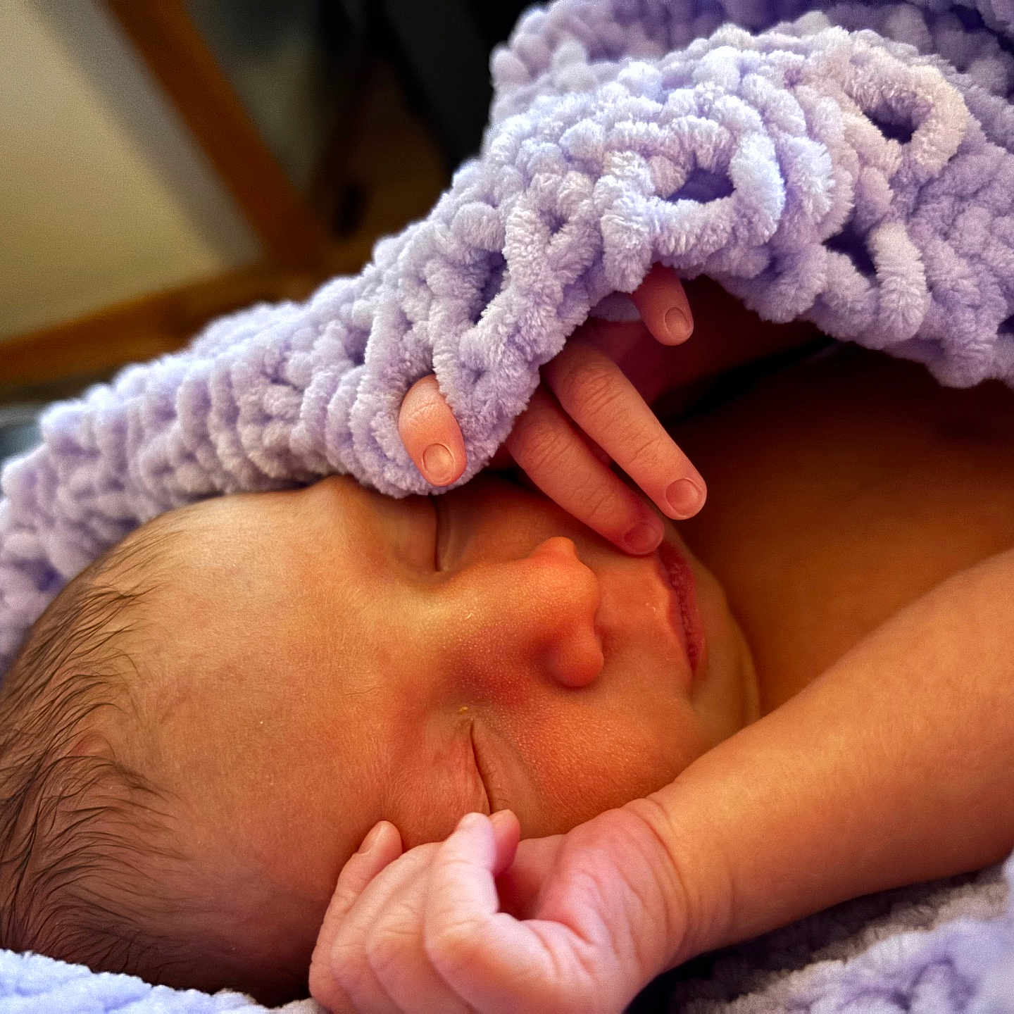 Laneigha joined the competition — help win amazing prizes! newborn, baby, sleeping, blanket, lavender, soft, skin, face, hand, fingers, closeup, infant, peaceful, cozy, warm, cuddle, rest, portrait, cute, child