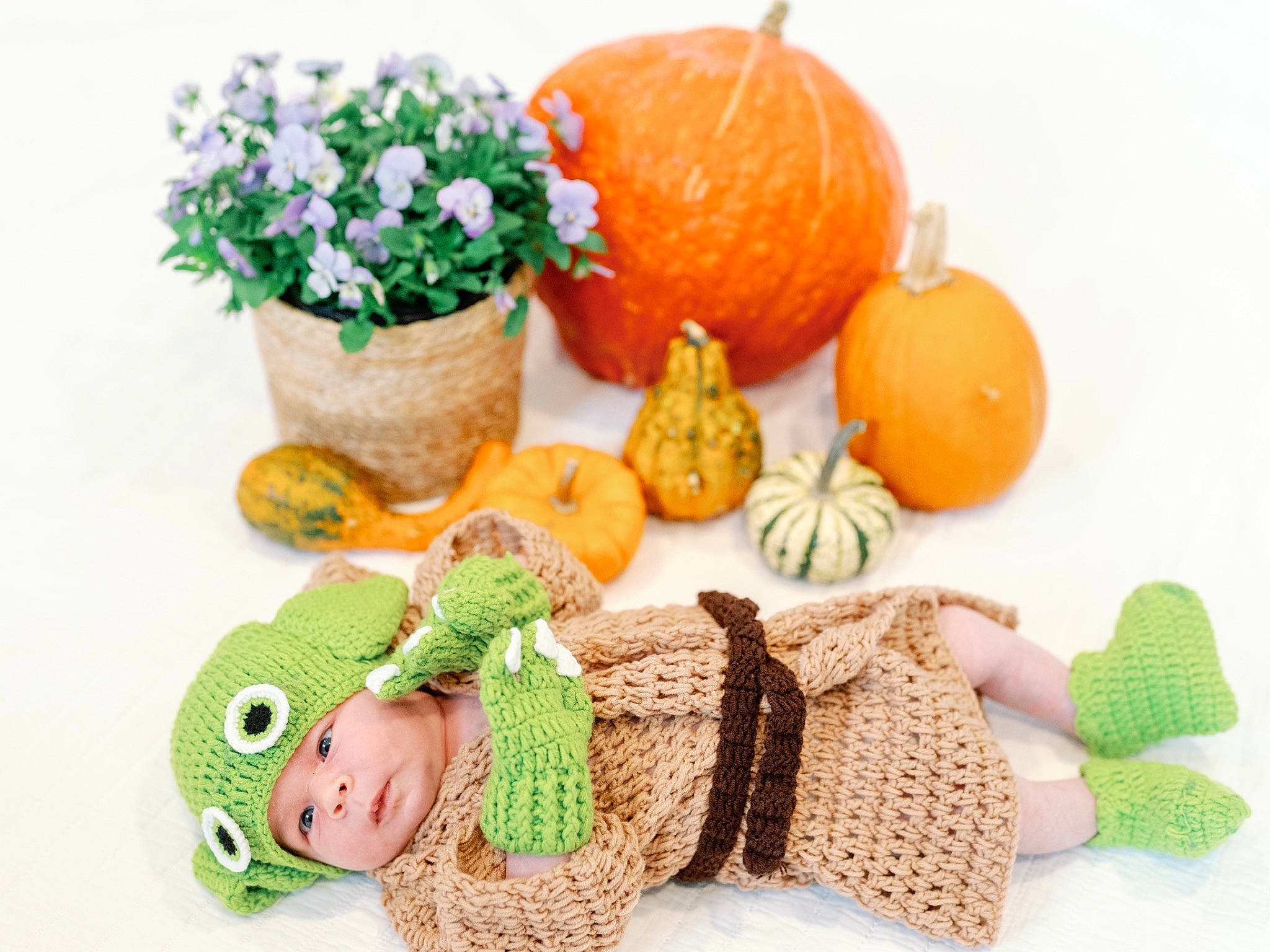 Braxton joined the competition — help win amazing prizes! baby_toddler_clothing, calabaza, cap, creative_arts, cucurbita, flower, flowerpot, food, fruit, gourd, headwear, houseplant, natural_foods, orange, person, plant, pumpkin, stuffed_toy, vegetable, winter_squash