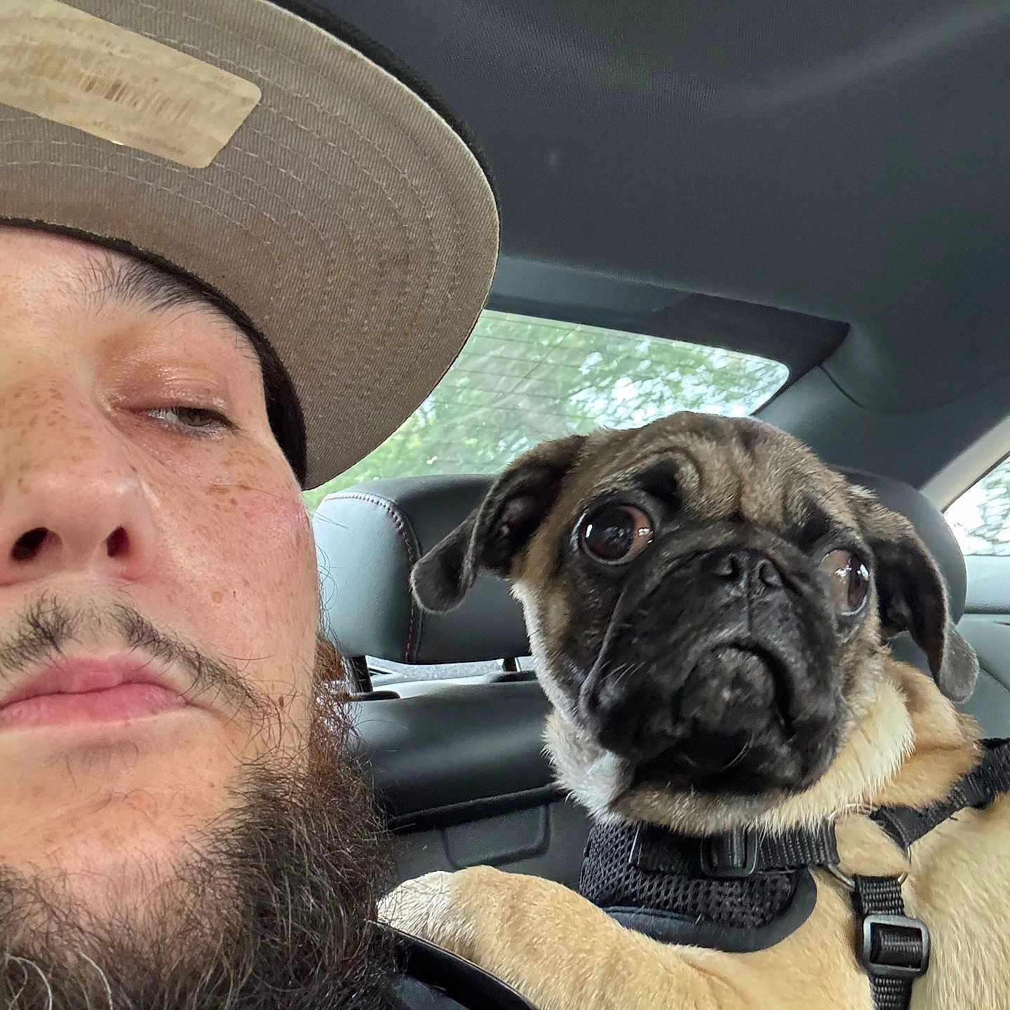 Nacho