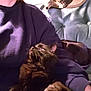 cat, person, couch, purple_sweatshirt, black_cat, indoor, cozy, pet, cuddling, furniture, relaxing, fur, whiskers, seated, casual, home, comfort, hat, warm, resting