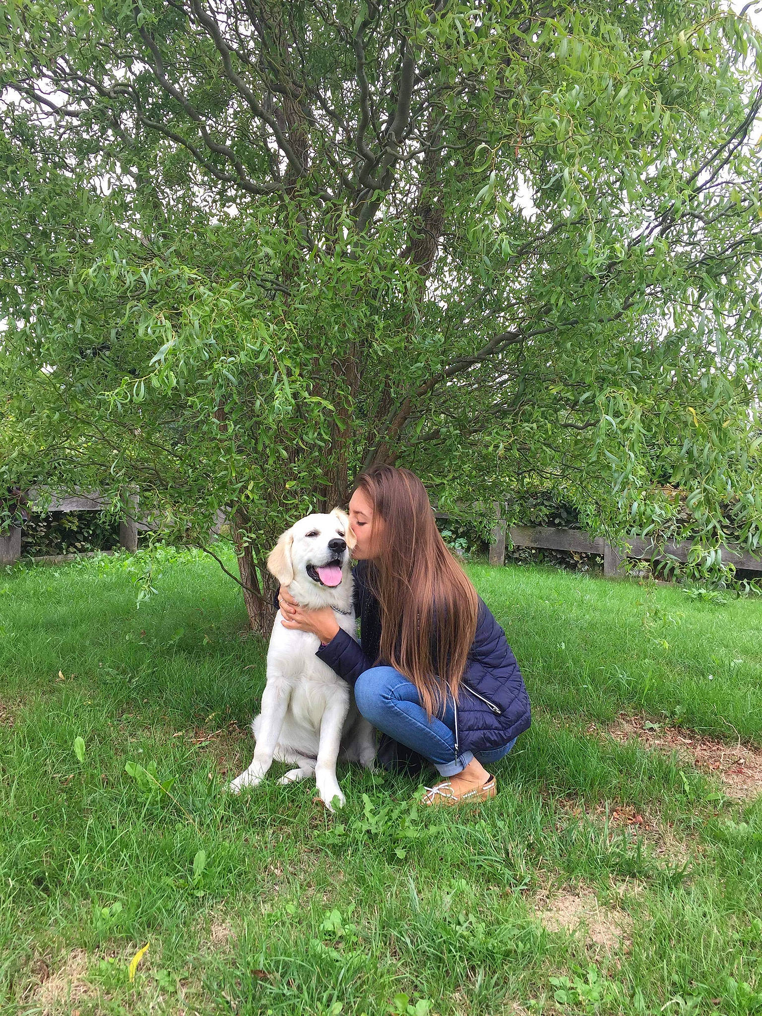 Aiko participe au concours pour gagner de l'argent avec cette photo : companion_dog, dog, dog_breed, dog_breed_group, dog_like_mammal, dog_walking, garden, girl, grass, grass_family, lawn, mammal, person, plant, play, tree, vertebrate, woodland