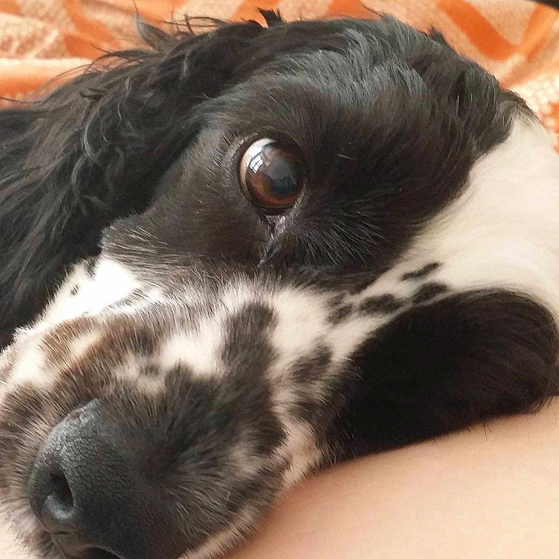 Harley Quinn joined the competition — help win amazing prizes!