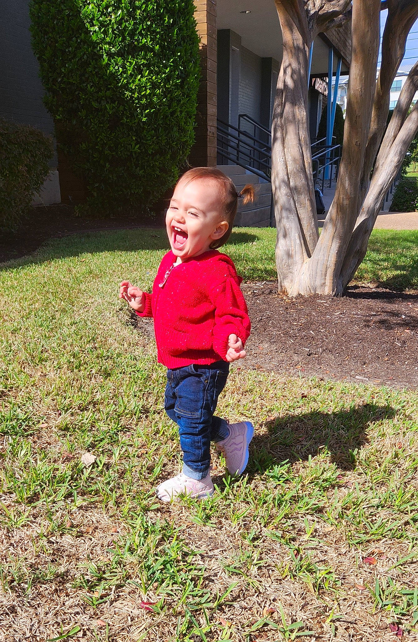 Mckinley is registered to the contest to win money with this photo: baby, baby_toddler_clothing, botany, child, footwear, fun, grass, grass_family, groundcover, happy, human_body, lawn, leisure, people_in_nature, person, plant, smile, soil, toddler, tree