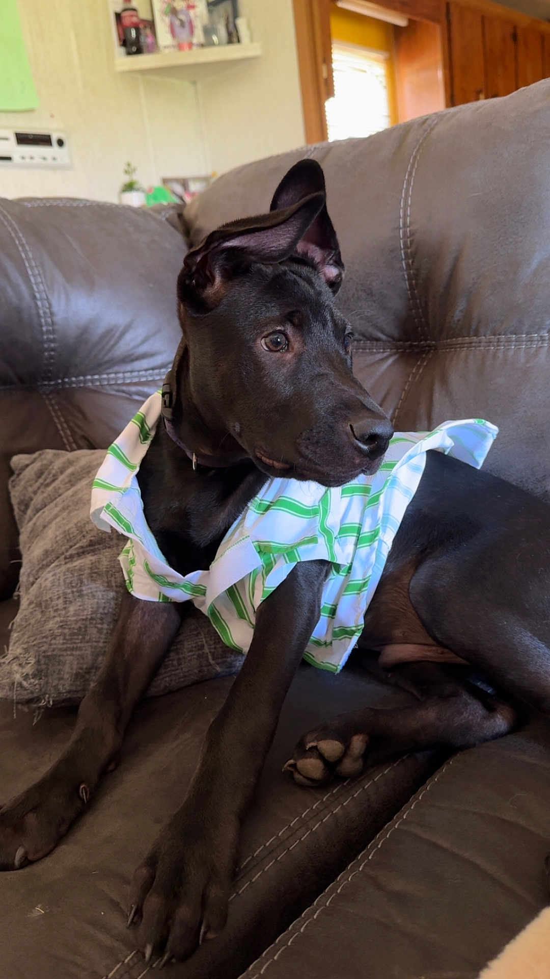 Milo