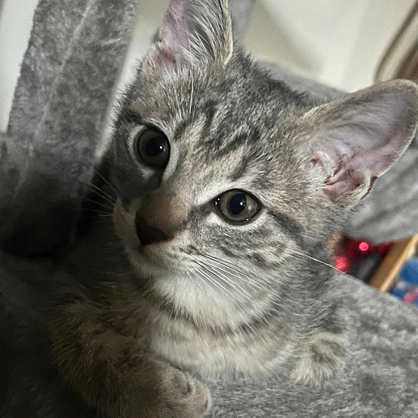 Kiko