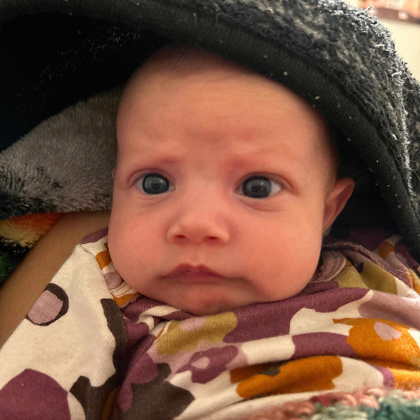 Maylin is registered to the contest to win money with this photo: baby, blanket, child, closeup, clothing, cozy, curious, cute, expression, eyes, face, head, indoors, infant, newborn, portrait, skin, soft, warm, wrapped