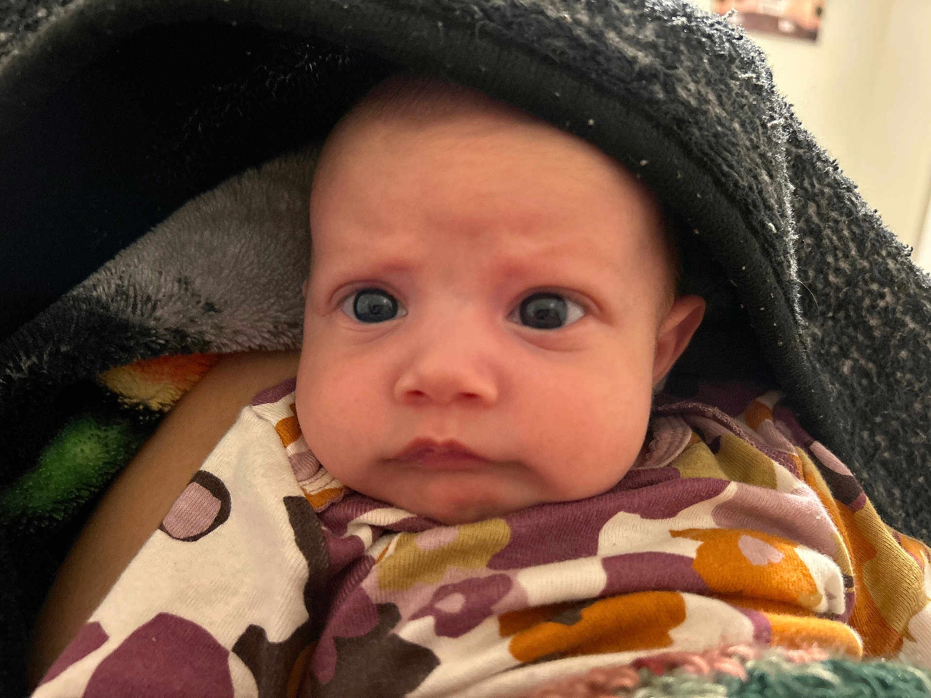 Maylin is registered to the contest to win money with this photo: baby, infant, face, eyes, blanket, clothing, closeup, expression, curious, portrait, child, indoors, warm, soft, cute, skin, head, newborn, wrapped, cozy