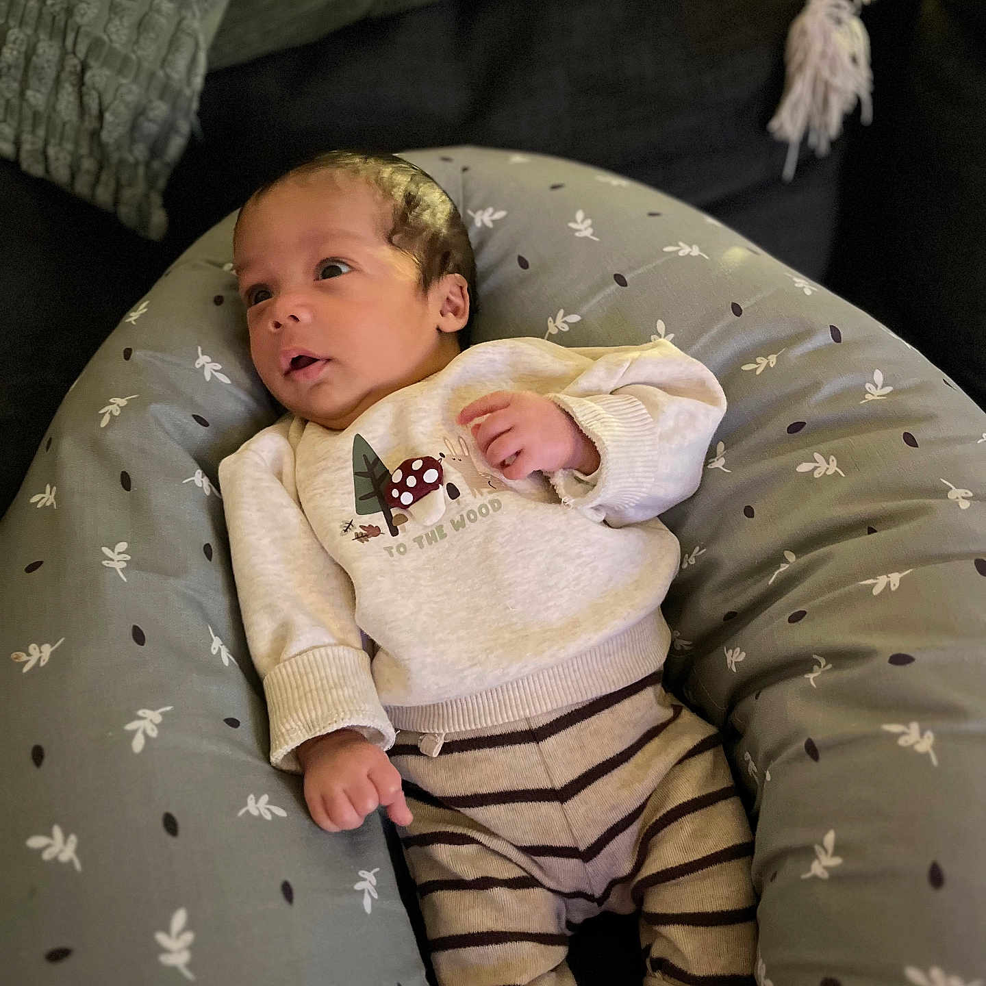 Marley Bourani a rejoint le concours — aidez-le/la à gagner de superbes lots ! baby, blanket, clothing, cozy, curious, cushion, cute, face, indoor, infant, newborn, patterned_fabric, person, relaxed, resting, small_hands, soft_furnishing, striped_pants, sweater, young_child