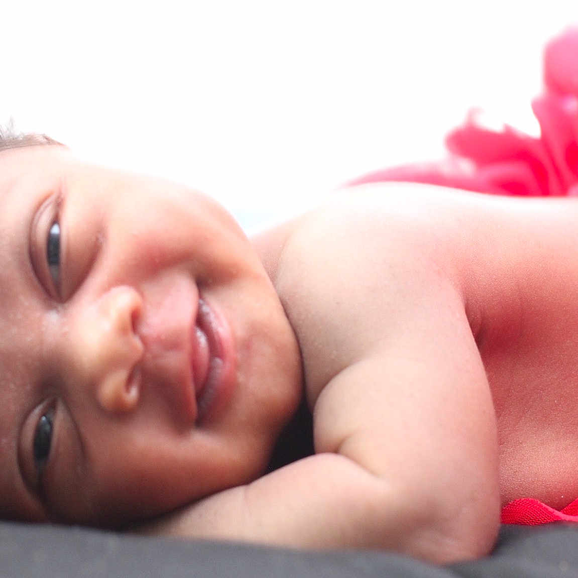 Journi