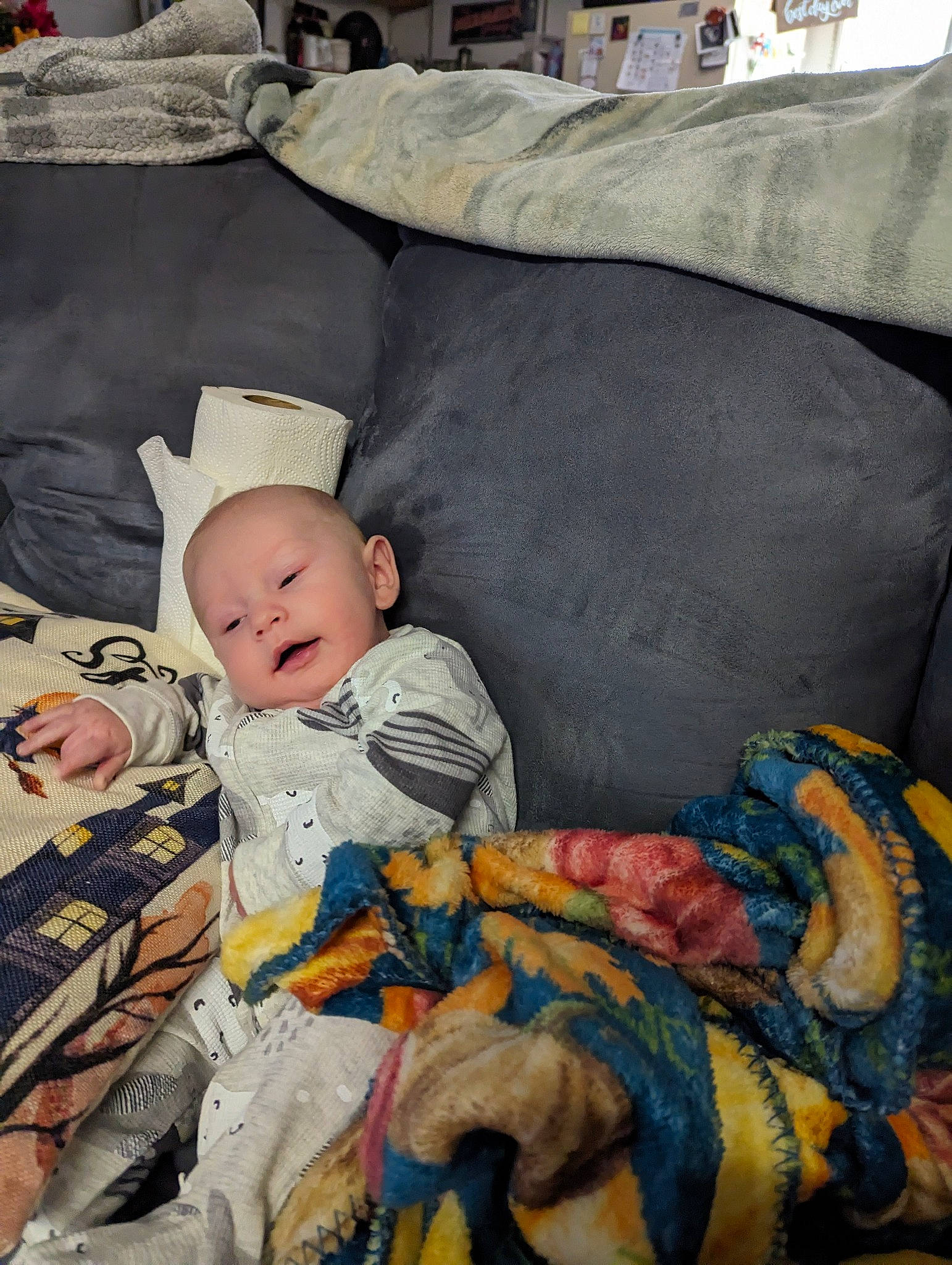 Tony joined the competition — help win amazing prizes! art, baby, baby_products, baby_toddler_clothing, bedding, bedtime, blanket, cheek, child, comfort, fur, illustration, linens, nap, person, room, sitting, textile, throw_pillow, toddler