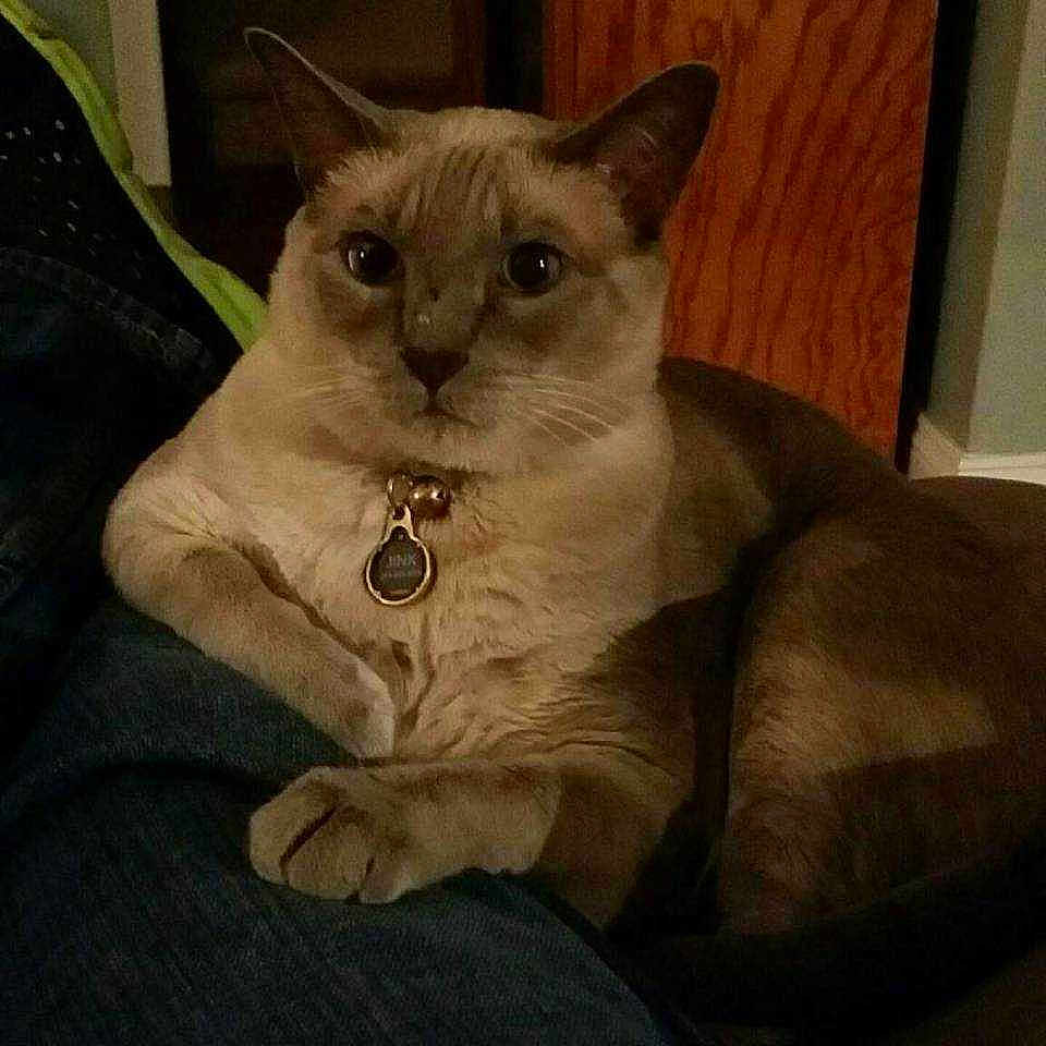 Jinx