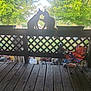 cat, animal, pet, silhouette, porch, wooden_floor, wooden_railing, greenery, tree, sunlight, outdoor, nature, fence, chair, folding_chair, daylight, playful, two_animals, backlit, quiet_moment