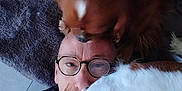 Noisette participe au concours pour gagner de l'argent avec cette photo : affection, brown_dog, canine, carpet, closeup, dog, face, floor, fur, glasses, glasses_frame, head, human, indoor, interaction, laying_down, man, pet, snout, white_dog