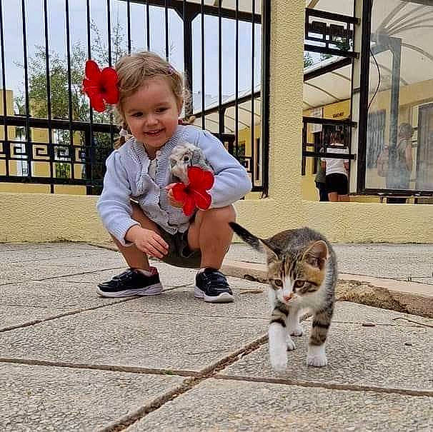 Manon a rejoint le concours — aidez-le/la à gagner de superbes lots ! baby, carnivore, cat, companion_dog, fawn, felidae, fence, happy, human_leg, joy, leisure, mammal, person, sidewalk, sitting, sky, small_to_medium_sized_cats, smile, tail, toddler