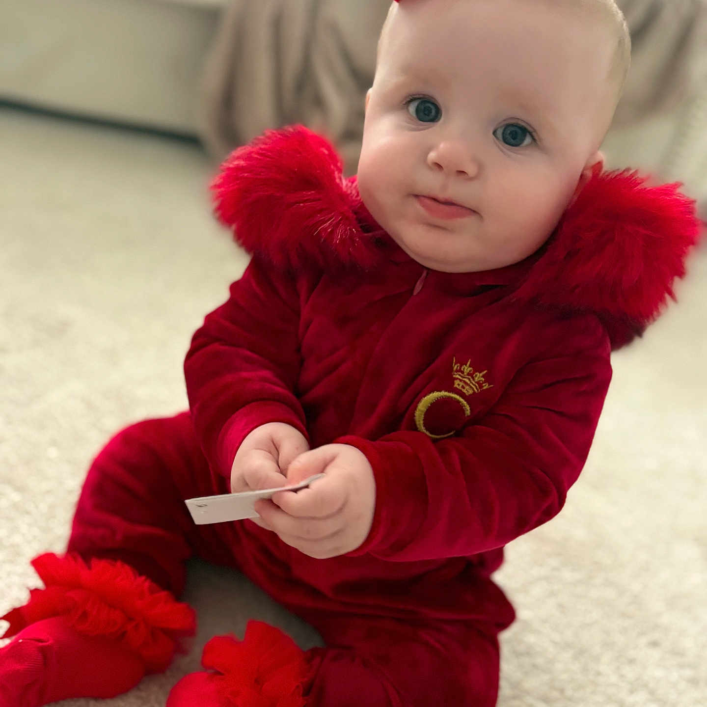 Dolcie-Bleu is registered to the contest to win money with this photo: baby, blanket, blue_eyes, carpet, child, couch, cozy, cute, face, fur_trim, holding_object, indoor, infant, portrait, red_bow, red_clothing, sitting, sock, soft_texture, warm_clothing