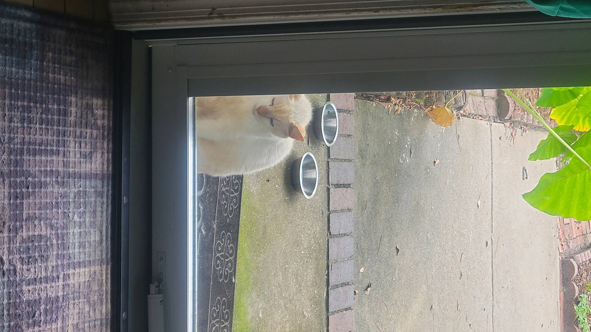 June joined the competition — help win amazing prizes! building, ceiling, concrete, door, facade, flooring, glass, hardwood, home_door, plant, plaster, reflection, room, sash_window, shade, tints_and_shades, water, window, wood, wood_stain