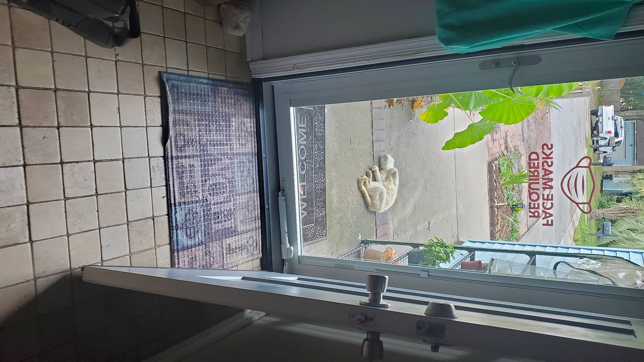 June joined the competition — help win amazing prizes! art, building, display_case, facade, font, glass, house, houseplant, line, plant, sash_window, shade, signage, transparent_material, tree, visual_arts, wall, window, window_covering, wood