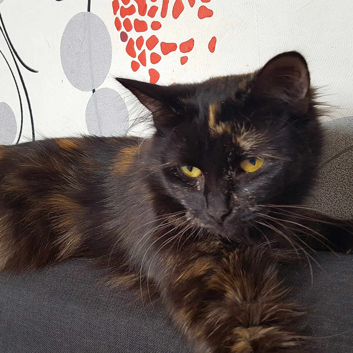 Princesse