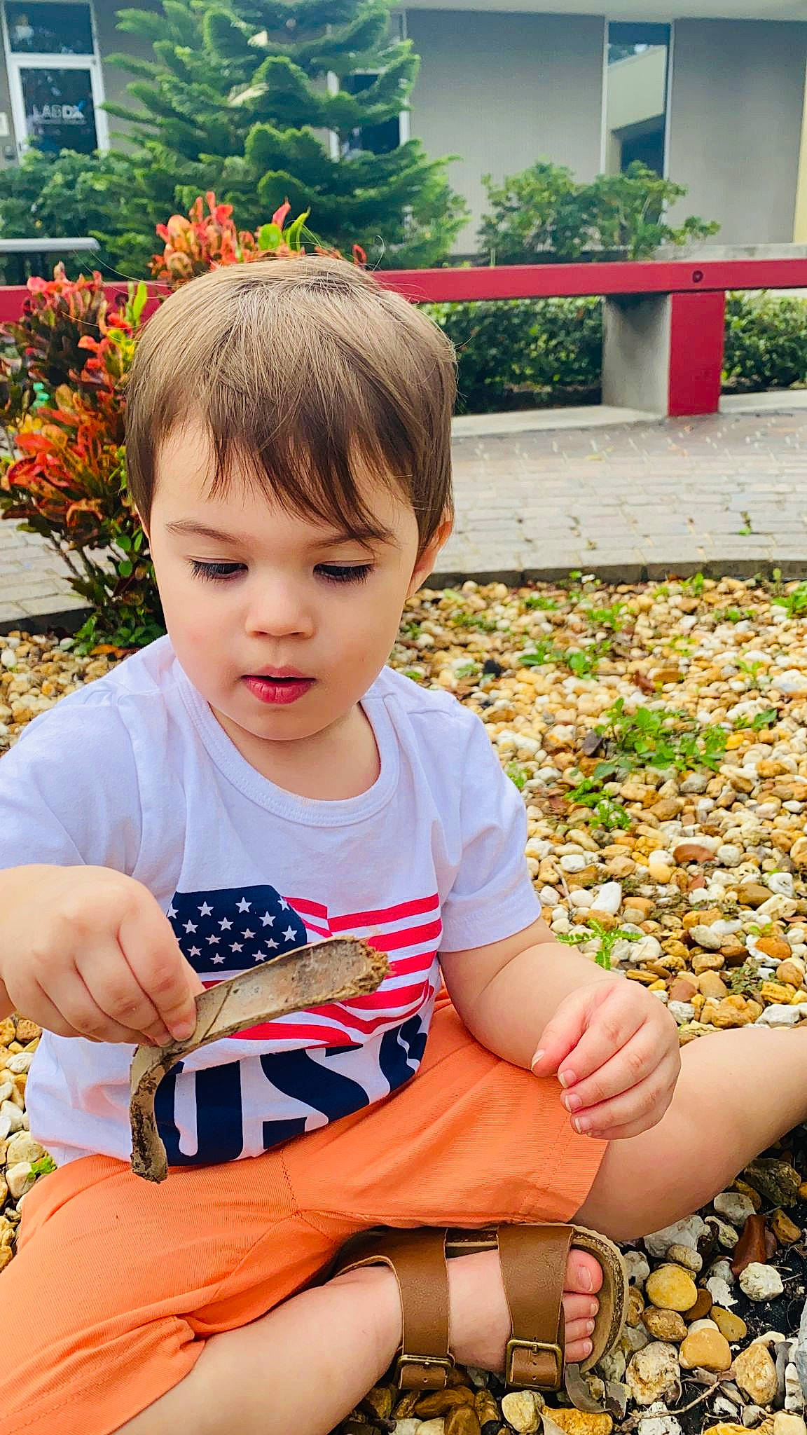 Nathan is registered to the contest to win money with this photo: baby_toddler_clothing, beauty, child, fun, grass, green, hairstyle, hand, happy, leaf, leisure, orange, people, people_in_nature, person, photograph, plant, sleeve, summer, t_shirt