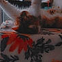 Sophie joined the competition — help win amazing prizes! animal, bedspread, blanket, cat, cozy, decor, floral_pattern, fluffy, fur, furniture, home, indoor, lying_down, orange, paws_up, pet, relaxed, resting, soft_light, white