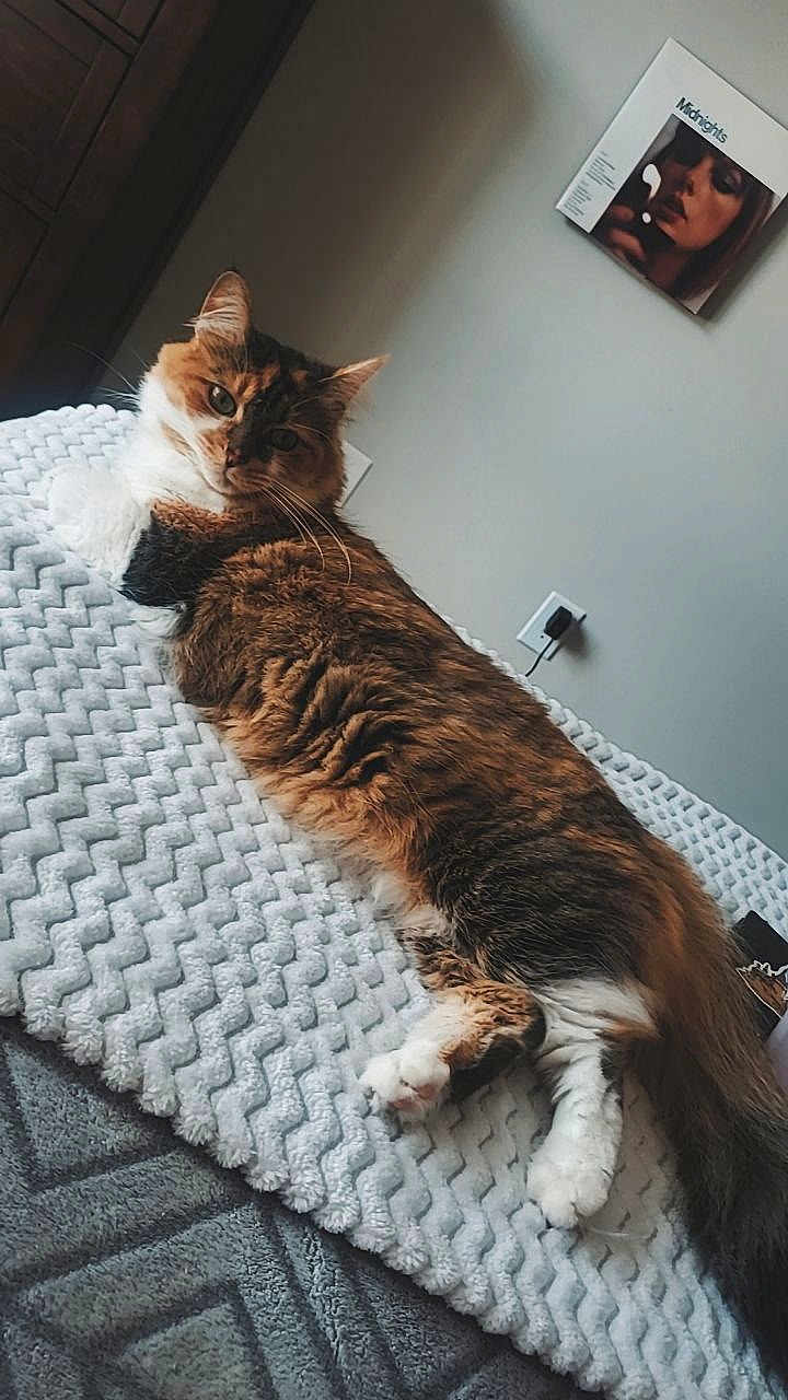 Sophie