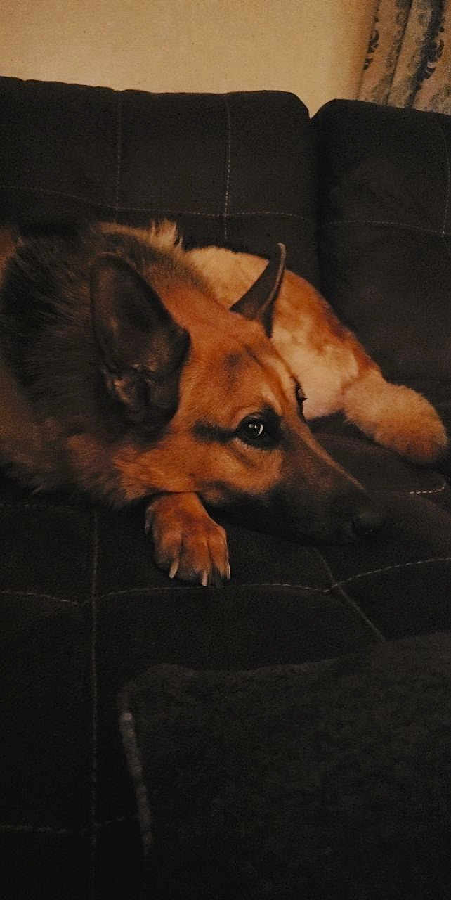 Rudy