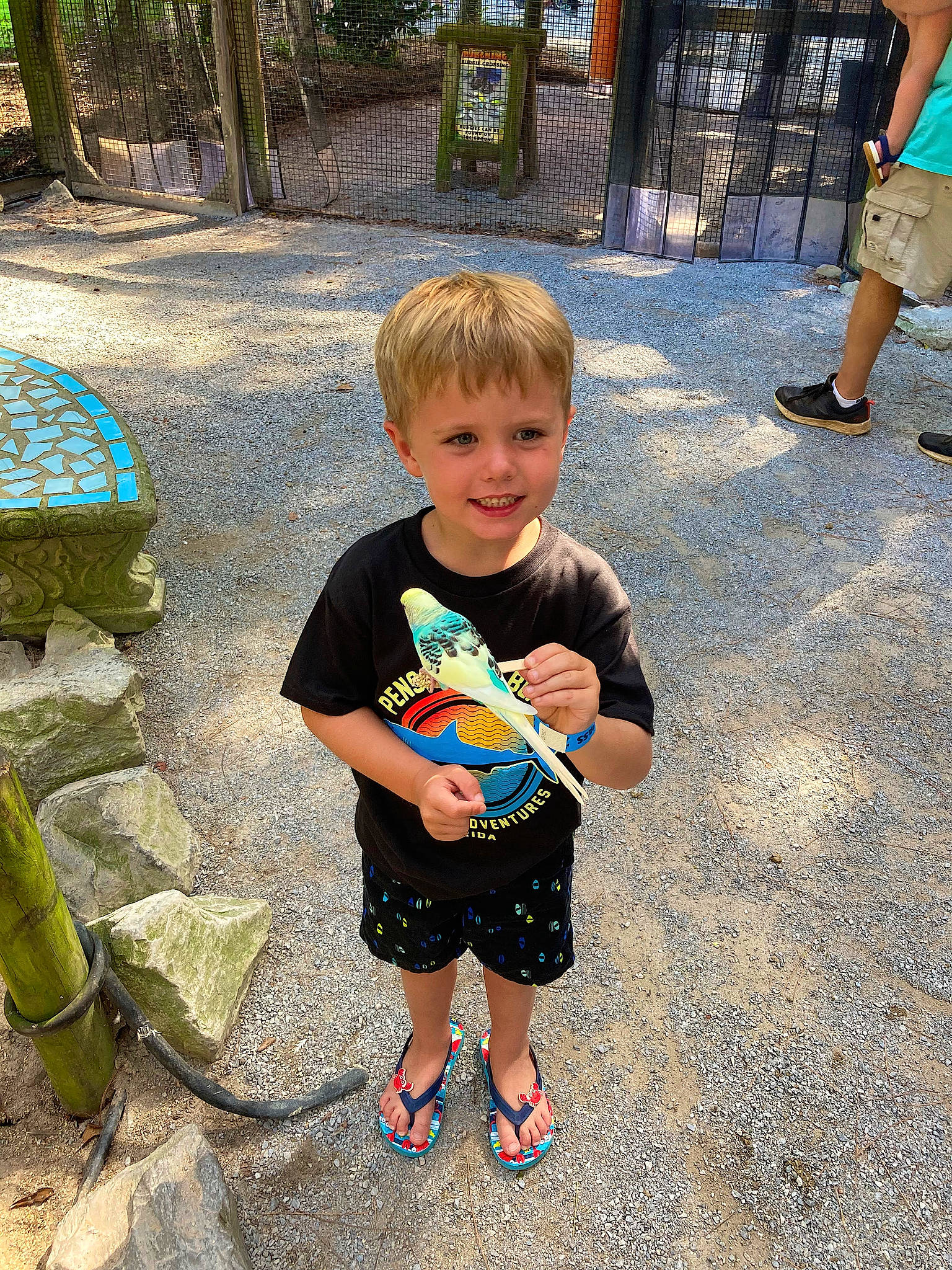 Blaise joined the competition — help win amazing prizes! child, cool, event, fun, grass, green, happy, joy, leg, leisure, person, plant, play, public_space, recreation, shoe, shorts, smile, sneakers, t_shirt