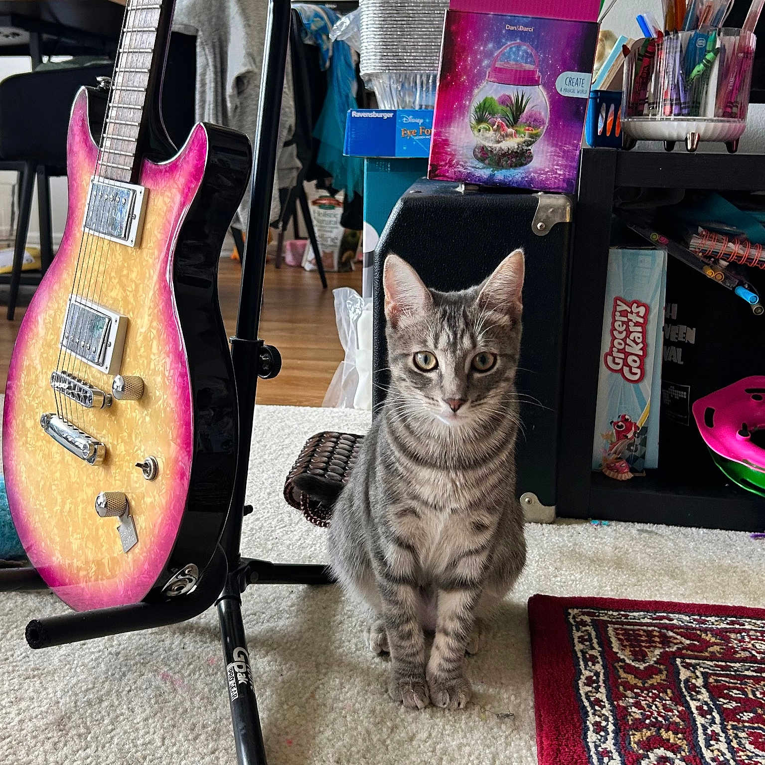Olive is registered to the contest to win money with this photo: animal, art, bookcase, box, cat, cup, electricguitar, furniture, guitar, guitarist, homedecor, kitten, leisureactivities, music, musicalinstrument, musician, painting, person, pet, rug
