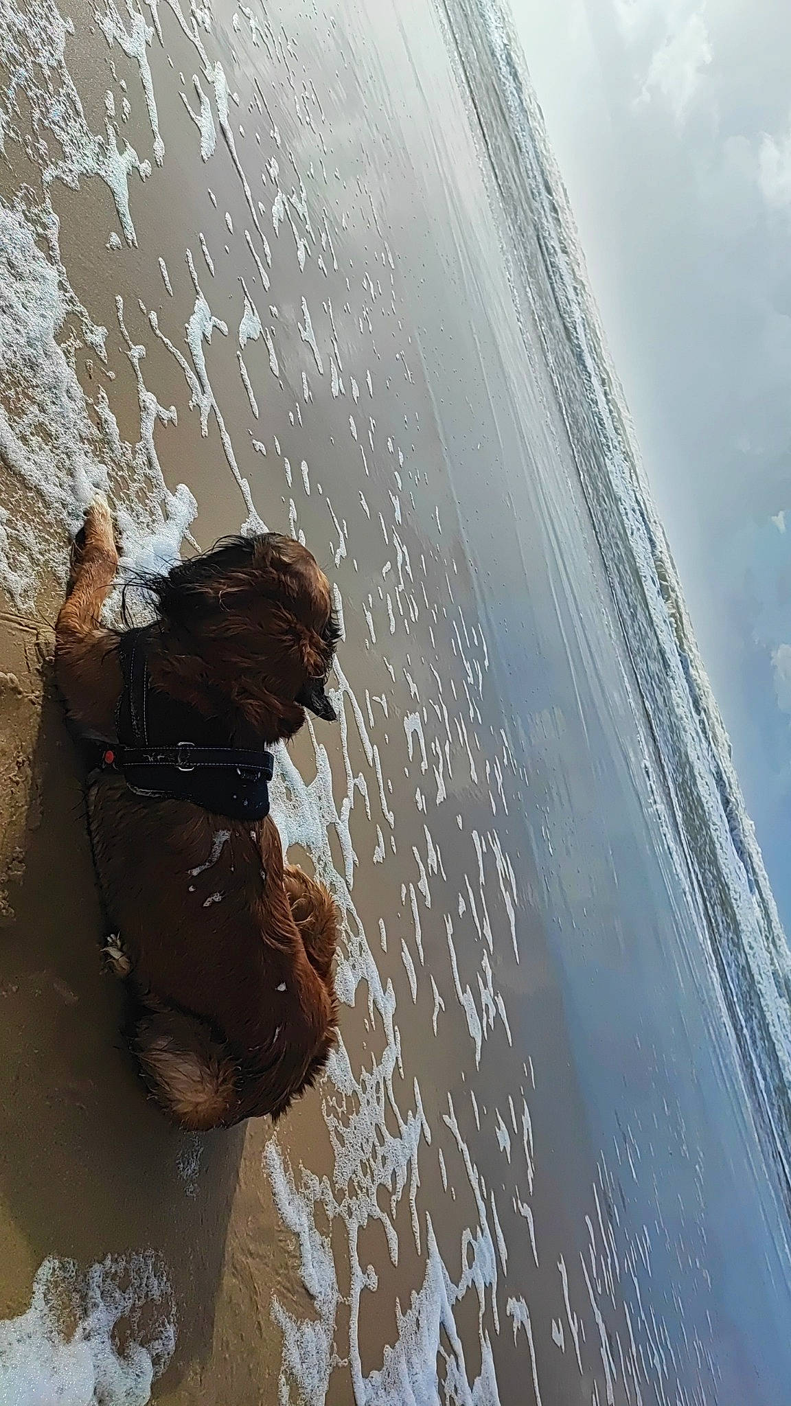 Pippa a rejoint le concours — aidez-le/la à gagner de superbes lots ! adventure, bathing, body_of_water, cloud, foot, fun, happy, lake, leisure, liquid, people_in_nature, recreation, reflection, shadow, sky, tints_and_shades, water, wave, wind_wave, wood