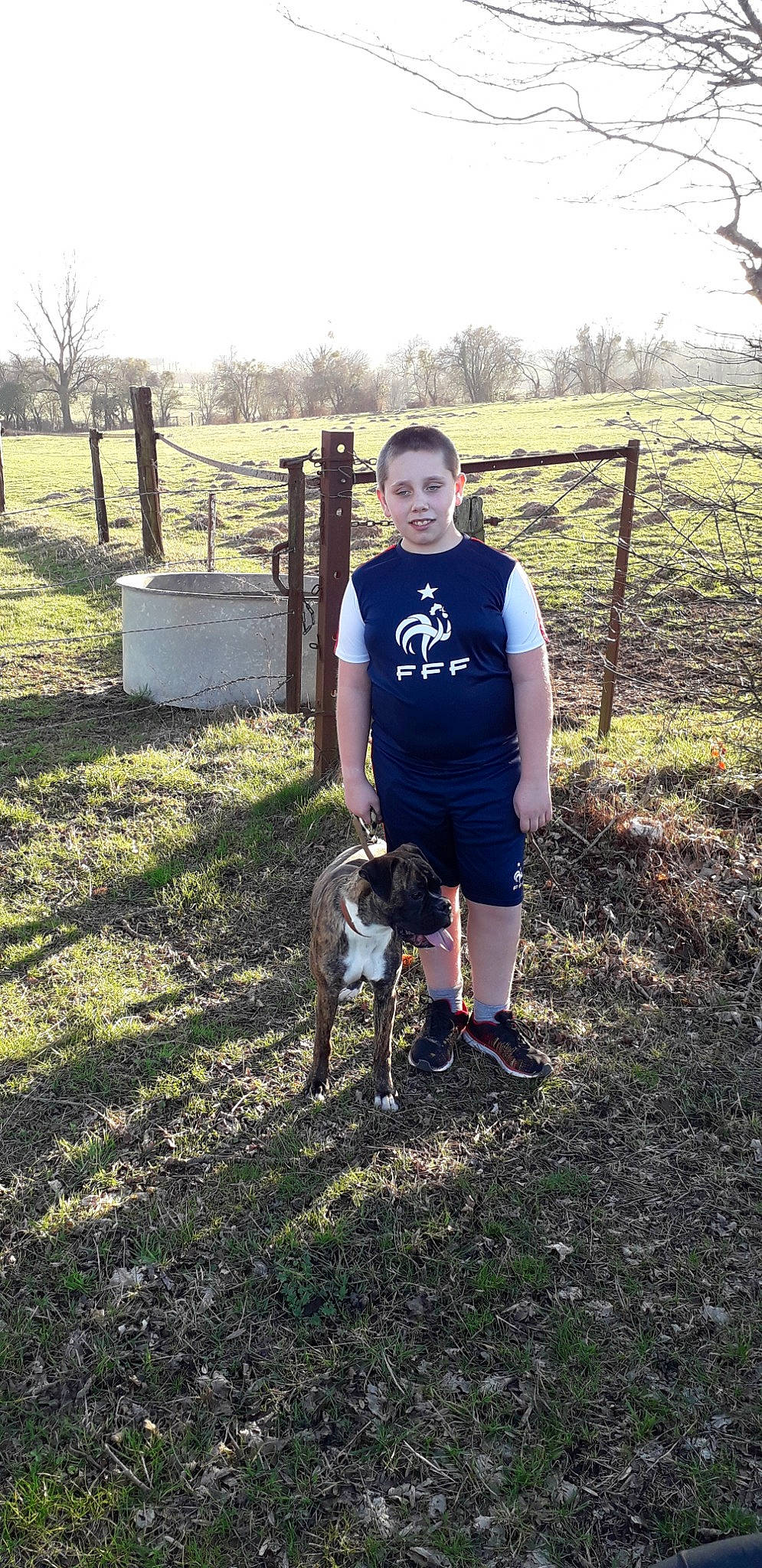 Laika participe au concours pour gagner de l'argent avec cette photo : canidae, dog_breed, fawn, grass, joy, pasture, person