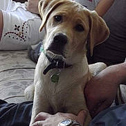 Clarck a rejoint le concours — aidez-le/la à gagner de superbes lots !