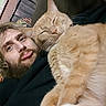 beard, casual, cat, close_up, couch, cozy, facial_expression, feline, friendship, ginger_cat, human, indoor, man, pet, portrait, pout, relaxation, sleeping_cat, snuggling, warmth